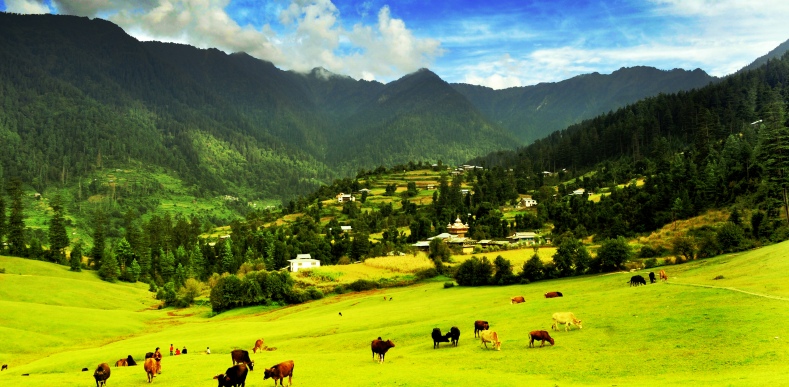 Shimla Manali Dhramshala Dalhousie Shimla Manali Dhramshala Dalhousie