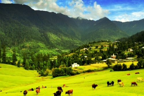 Shimla Manali Dhramshala Dalhousie