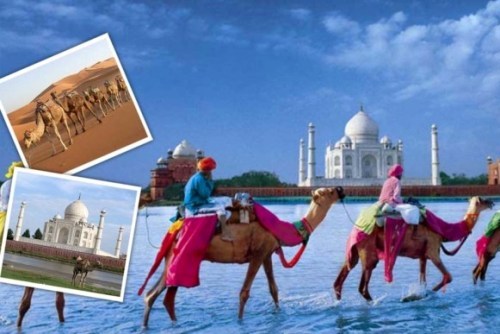 Delhi Jaipur Tour